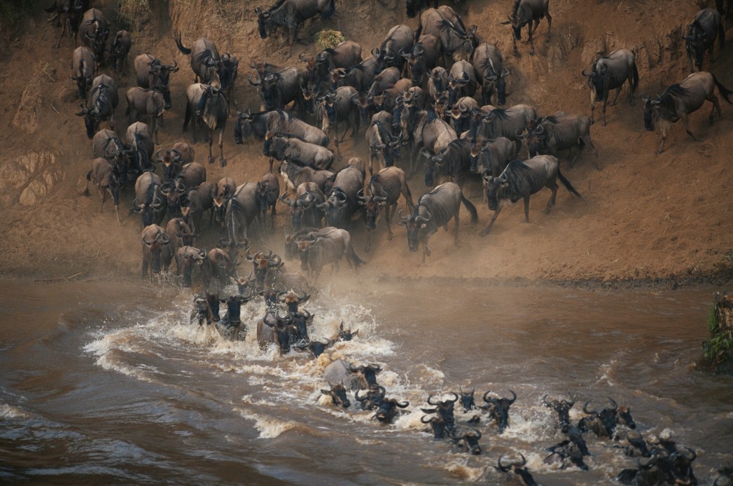 safari in kenya periodo migliore